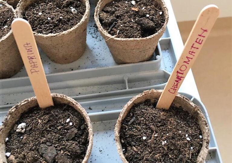 Gartenarbeit im Stephansheim