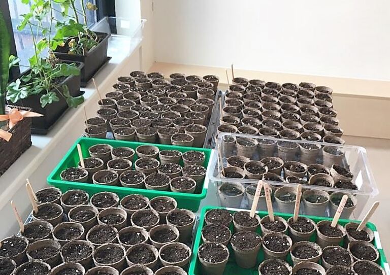 Die fertigen Pflanzentöpchen.