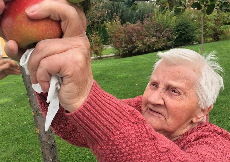 Eine Bewohnerin pflückt einen Apfel vom Baum.