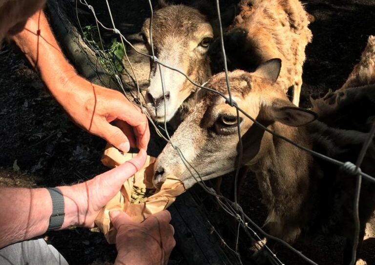 Ausflug in den Naturpark Geras