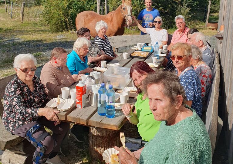 Sommerlicher Tagesausflug zum Reiterhof Sommerlicher Tagesausflug zum Reiterhof