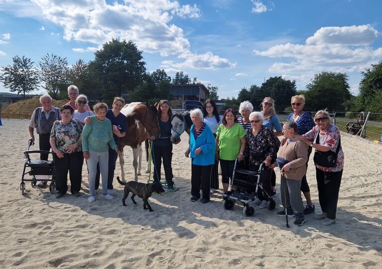 Sommerlicher Tagesausflug zum Reiterhof Sommerlicher Tagesausflug zum Reiterhof
