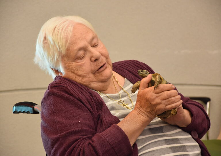 Huhn trifft Schildkröte