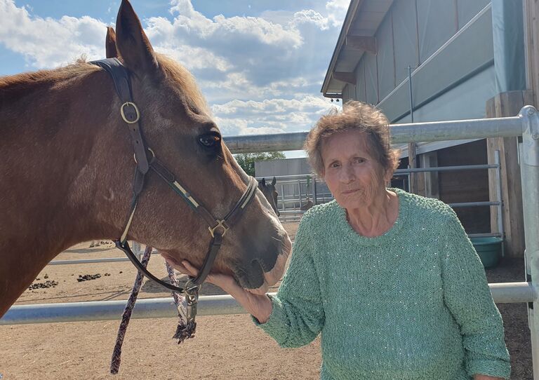 Sommerlicher Tagesausflug zum Reiterhof Sommerlicher Tagesausflug zum Reiterhof
