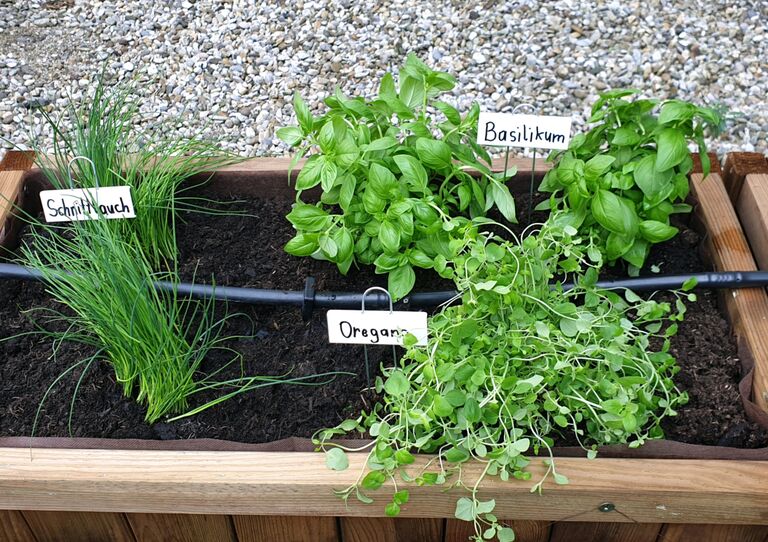 Kräutergarten