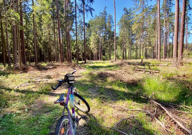 Impressionen der Aktion "HB radelt"