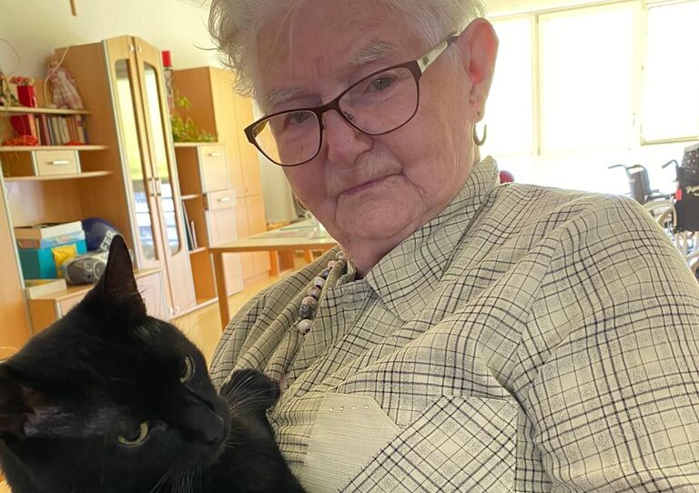 Weltkatzentag: Unsere Haustiger im HB