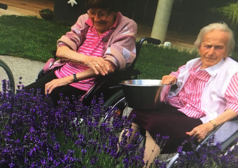 Bewohnerinnen pflücken Lavendel.