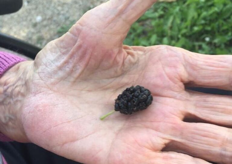 Bewohnerin hält Brombeere