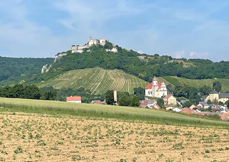 Weinberge, eine Burg und ein Maisfeld.