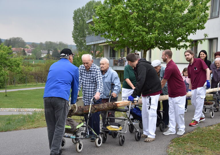 Maibaumaufstellen im Urbanusheim