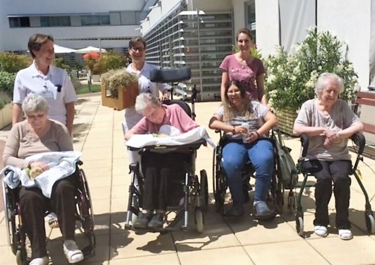 Neues Zuhause für die Meerschweinchen