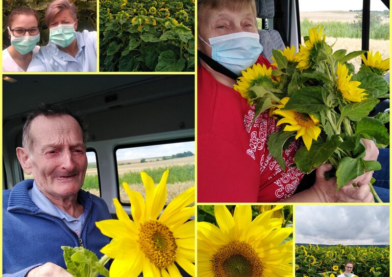 Bewohner*innen mit Sonnenblumen