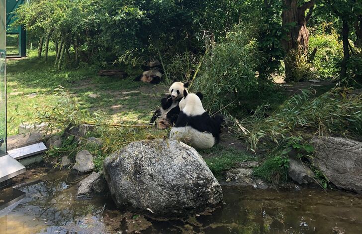 BitPanda spendet Zoo-Freikarten