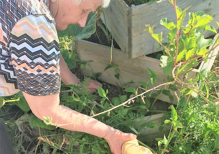 Herbststart mit Kürbisernte