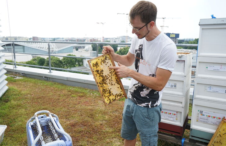 Florian Lackinger prüft, ob der Honig schon reif ist.