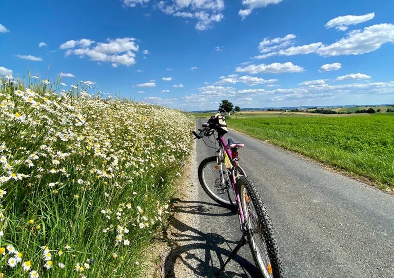 Impressionen der Aktion "HB radelt"