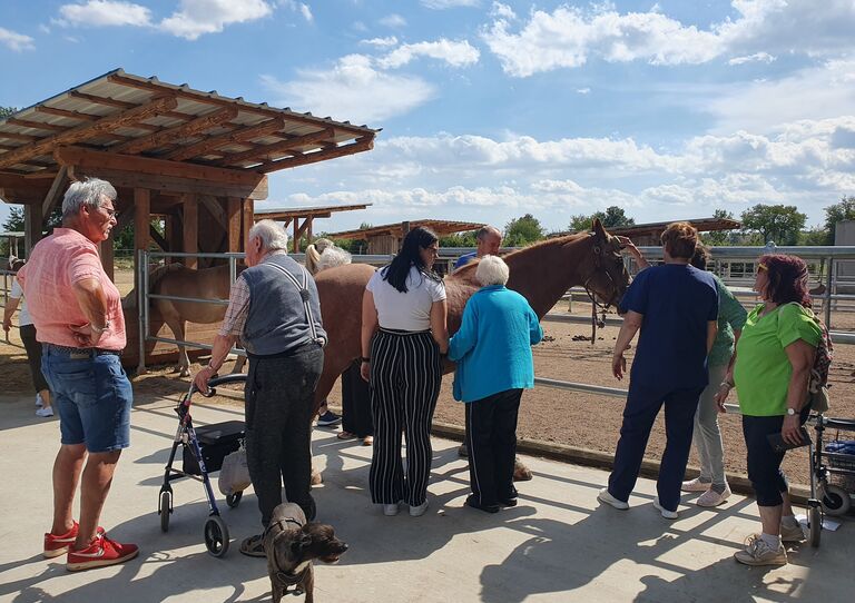 Sommerlicher Tagesausflug zum Reiterhof Sommerlicher Tagesausflug zum Reiterhof