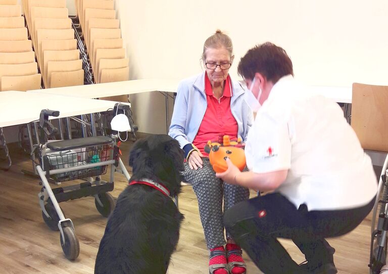 Therapiehund Aaron im Stadtheim