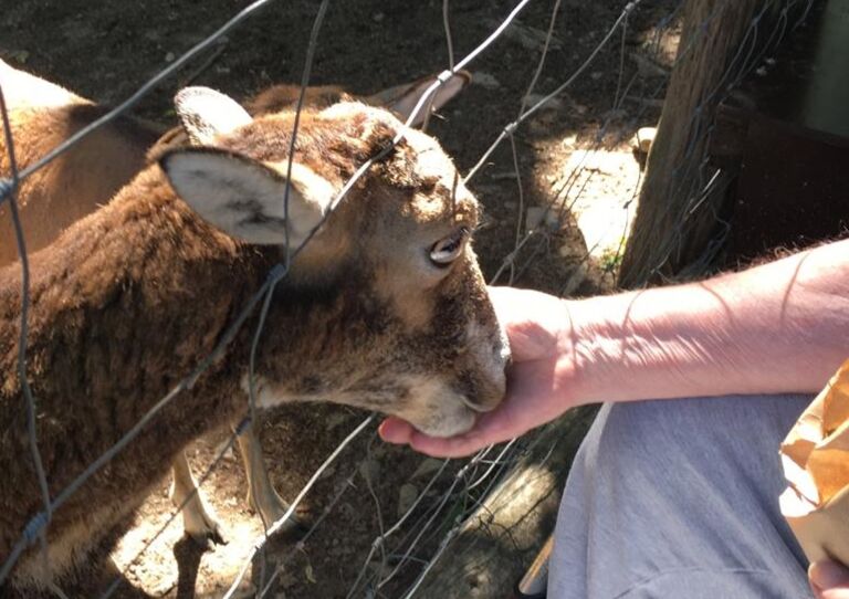 Ausflug in den Naturpark Geras