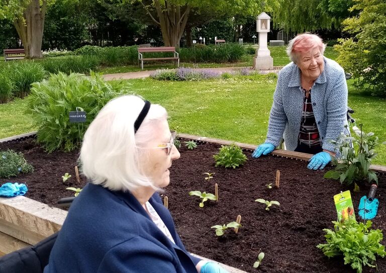 Garteln in der Tokiostraße