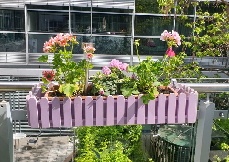 Die Terrasse im HB Seeböckgasse in voller Blüte.