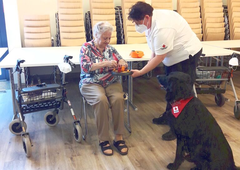 Therapiehund Aaron im Stadtheim