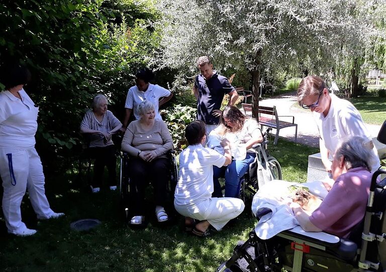 Neues Zuhause für die Meerschweinchen