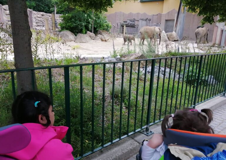 Kinder der HABIT Kids WG bestaunen den berühmten Baby-Elefanten.