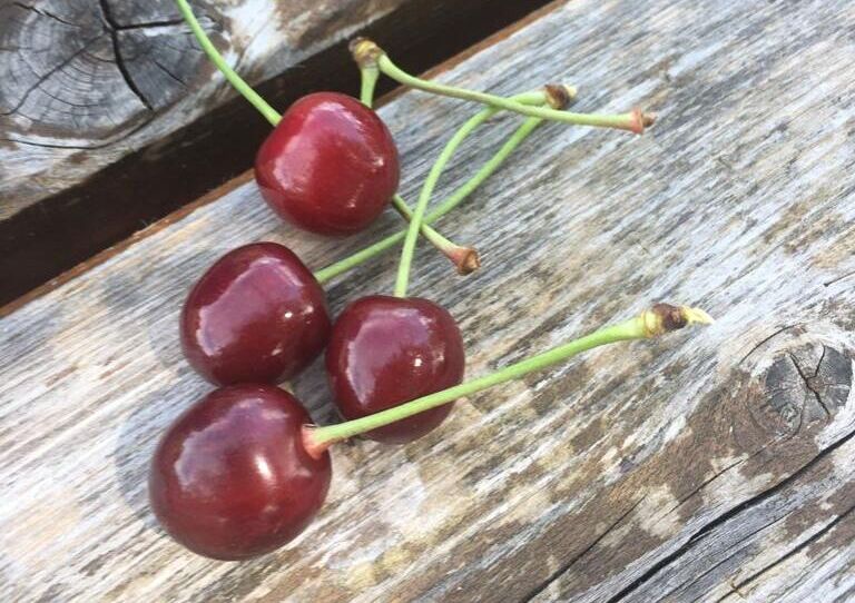 Kirschen liegen am Tisch