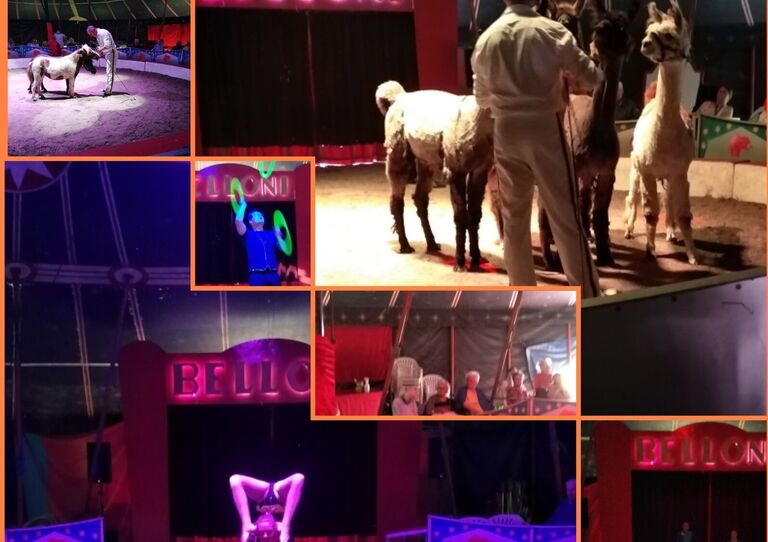 Eine Collage mehrere Impressionen von der Zirkusvorstellung.