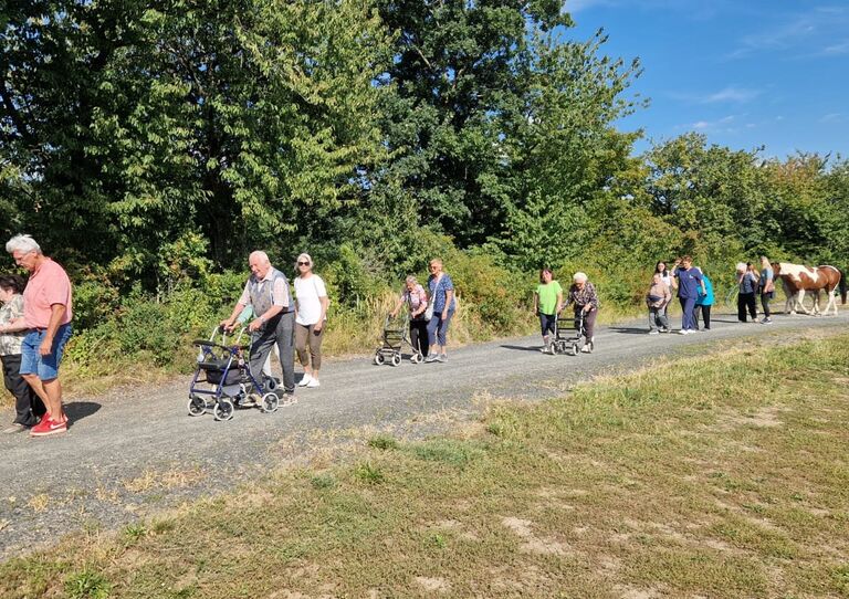 Sommerlicher Tagesausflug zum Reiterhof Sommerlicher Tagesausflug zum Reiterhof