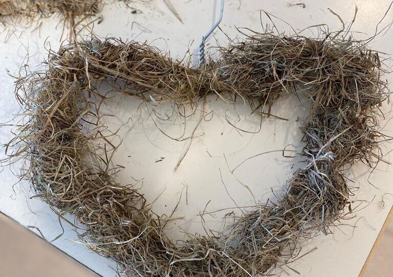 Aufnahme von Strohkranz.