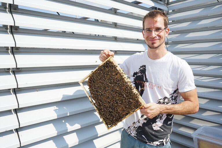 Florian Lackinger mit einer Wabe.