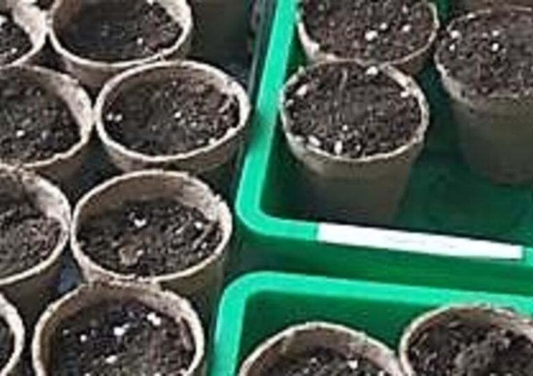 Gartenarbeit im Stephansheim