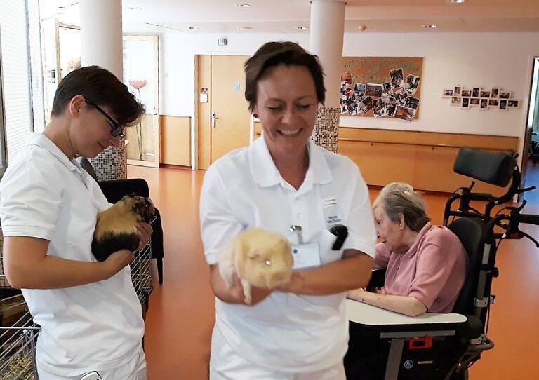 Neues Zuhause für die Meerschweinchen