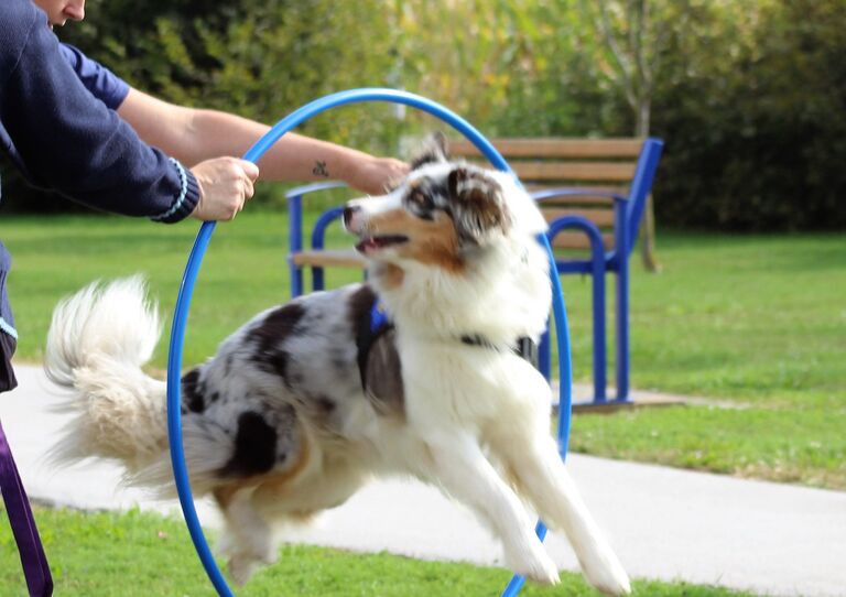 Tag der offenen Tür im Clementinum.