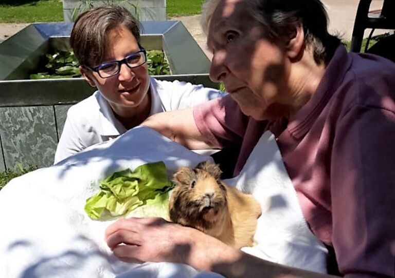 Neues Zuhause für die Meerschweinchen