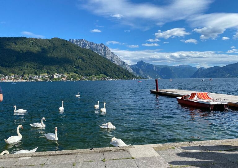 Impressionen der Aktion "HB radelt"