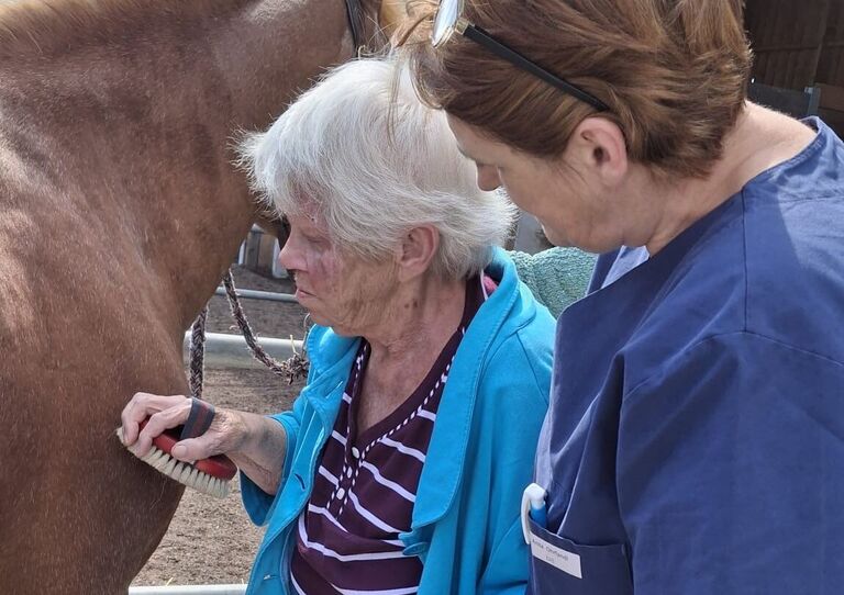 Sommerlicher Tagesausflug zum Reiterhof Sommerlicher Tagesausflug zum Reiterhof