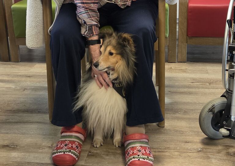 Tierischer Besuch in Wiener Neustadt Tierischer Besuch in Wiener Neustadt