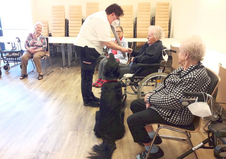 Therapiehund Aaron im Stadtheim