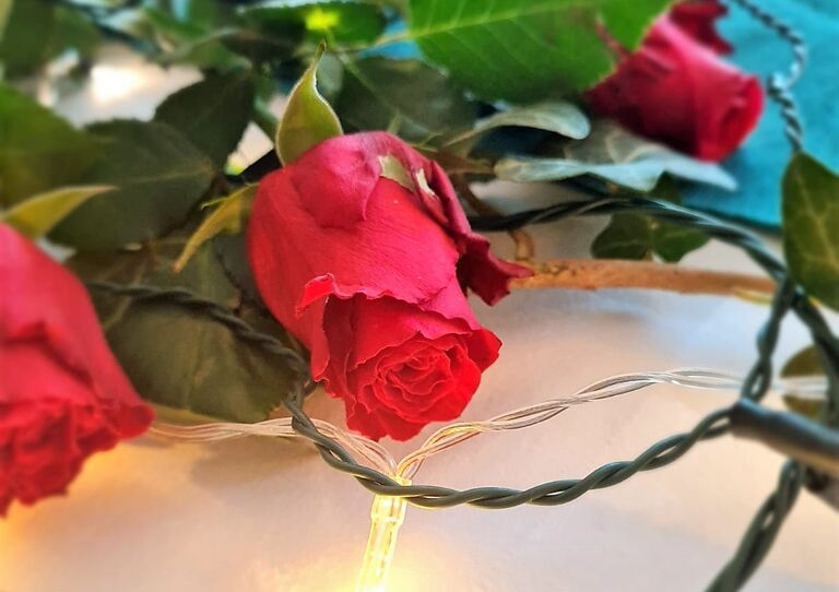 Rosen und Lichterkette als Tischdekor.