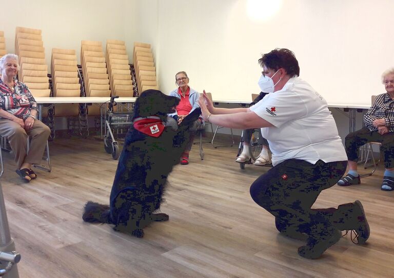 Therapiehund Aaron im Stadtheim