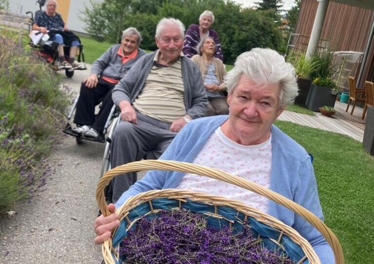 Bewohner*innen pflücken Lavendel
