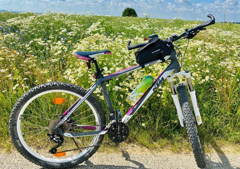 Fahrrad steht vor einer Blumenwiese