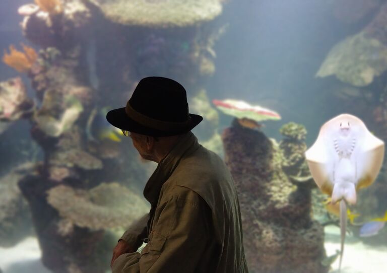 Das Team Lebensqualität besucht Haus des Meeres in Wien Das Team Lebensqualität besucht das Haus des Meeres in Wien