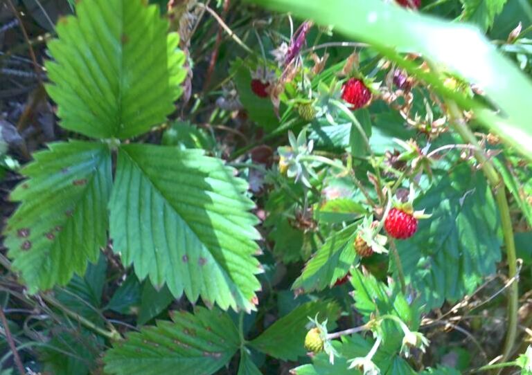 Ausflug in den Naturpark Geras