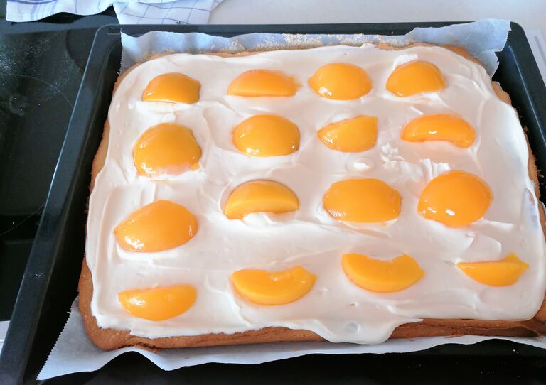 Ein Blech mit Marillenkuchen.