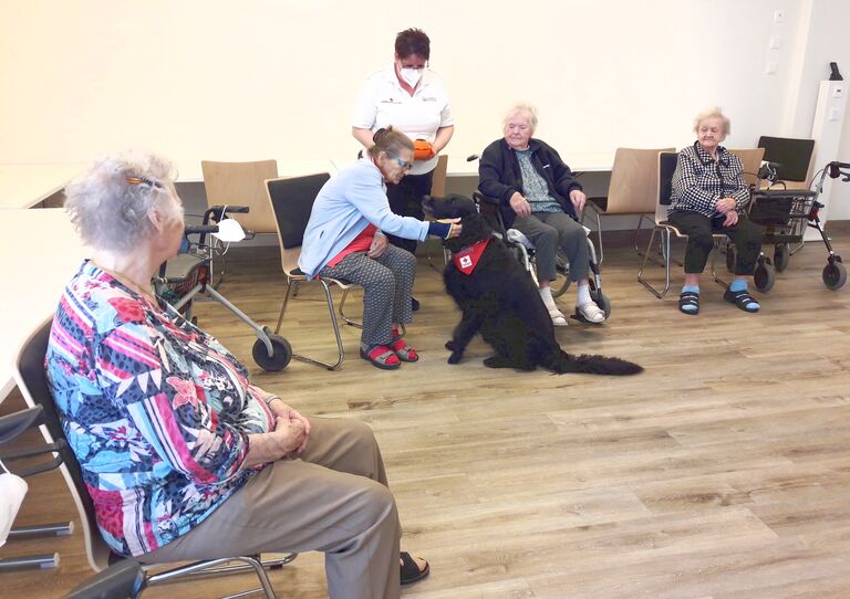 Therapiehund Aaron im Stadtheim